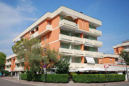 Cormoran C