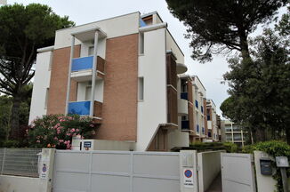 Pellicano D