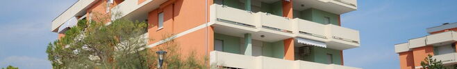 Cormoran C