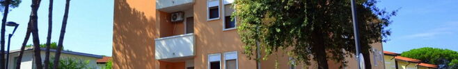 Trincarino C