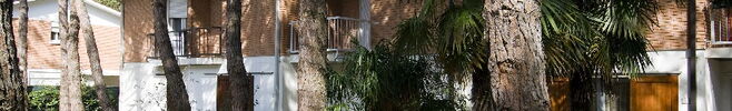 Villinio Schiera D