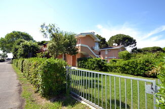 Tortuga C1