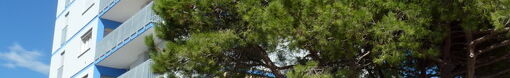 Bel Sole C