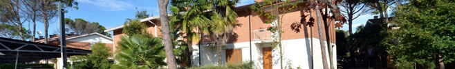 Schiera D6