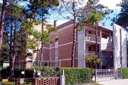 Flora B Flora B
