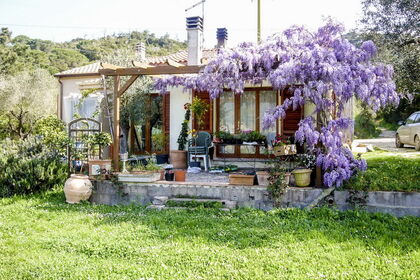 Casa Viola Casa Viola