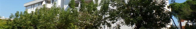 Appartement Nasse C6