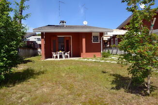 Agavi D1