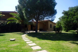 Ferienhaus Ginestre 58