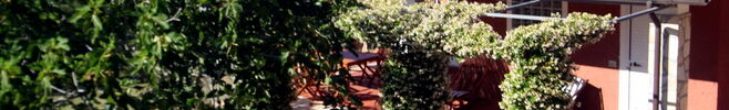 Ferienhaus Monte-Mare